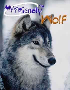 My Friendly Wolf